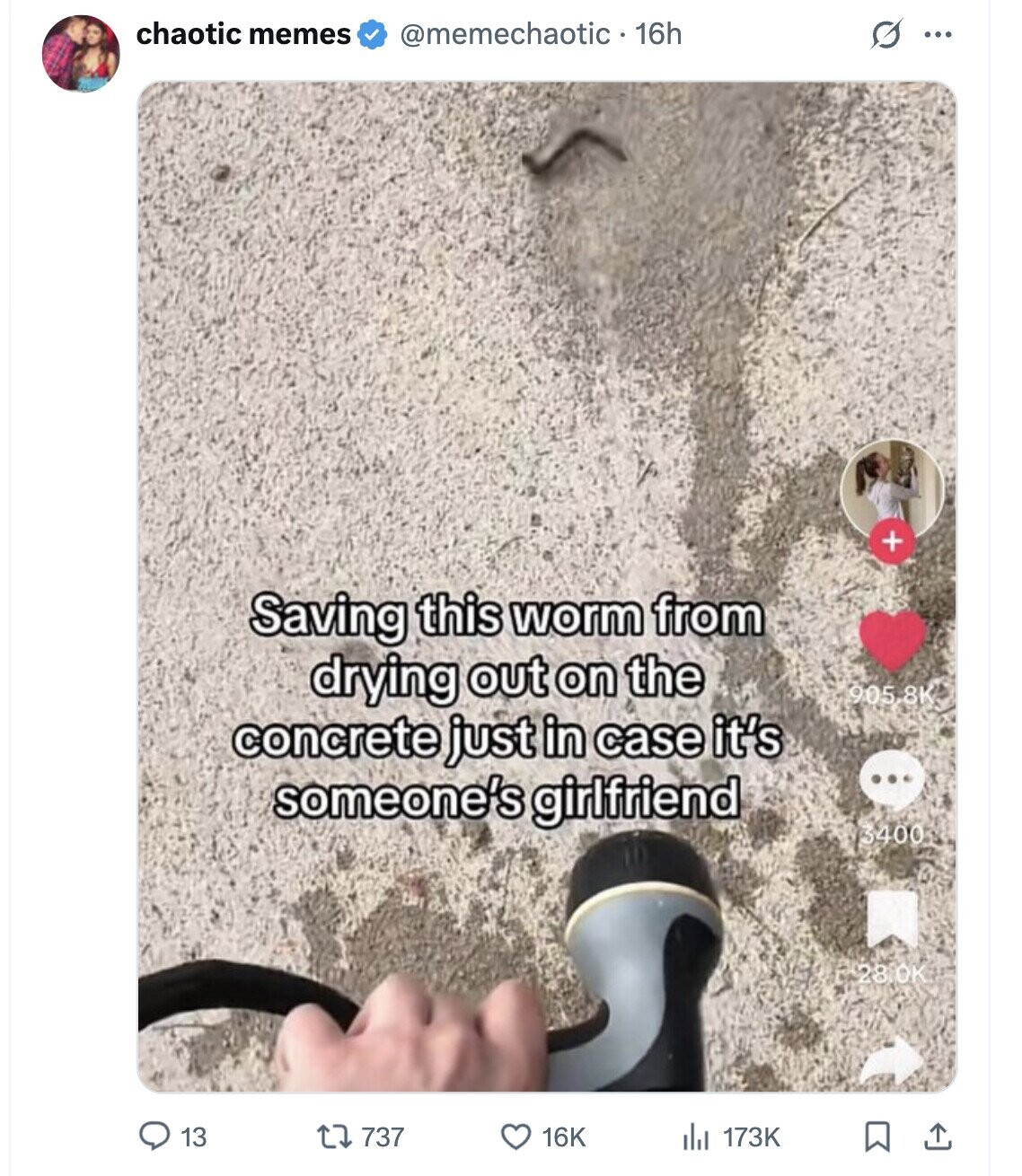 chaotic memes @memechaotic16h G ... + Saving this worm from drying out on the 905.8K concrete just in case it's someone's girlfriend ... 3400 28.0K 13 737 16K del 173K 