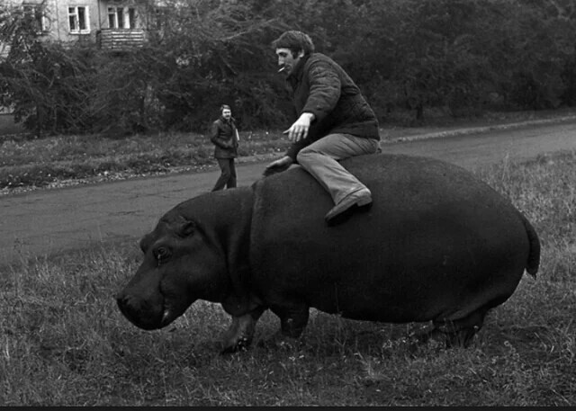 20 Times the Soviet Union Didn’t Look That Bad