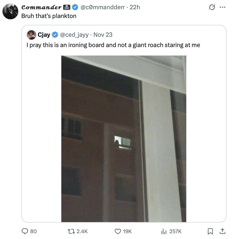 Commander @commandderr.22h s ... Bruh that's plankton Cjay @ced_jayy Nov 23 I pray this is an ironing board and not a giant roach staring at me 80 2.4K 19K 257K 