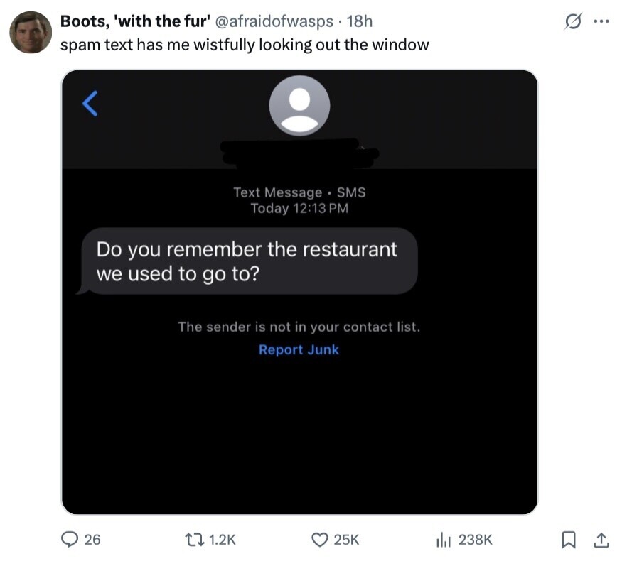 Boots, 'with the fur' @afraidofwasps 18h S ... spam text has me wistfully looking out the window Text Message SMS Today 12:13 PM Do you remember the restaurant we used to go to? The sender is not in your contact list. Report Junk 26 1.2K 25K del 238K 