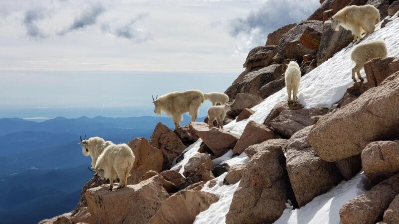 Some of the Week's Most Noteworthy Photos