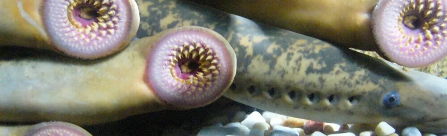 13 Reminders That Nature Is Disgusting