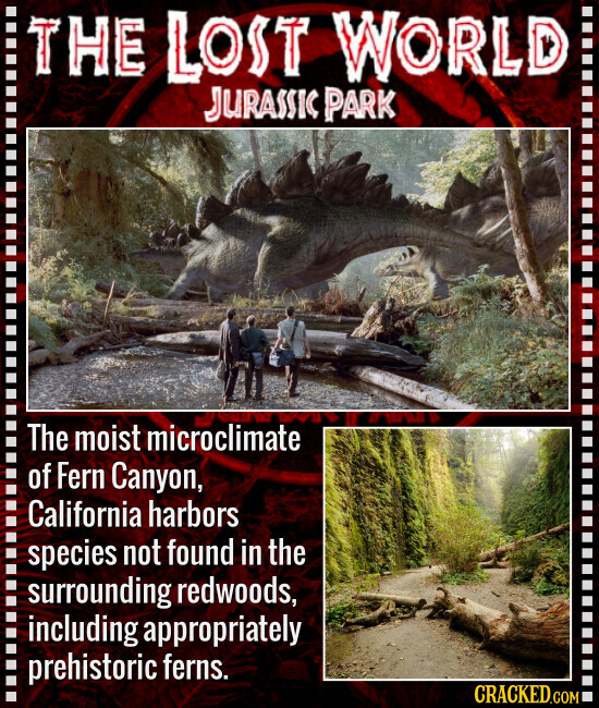 THE LOST WORLD JURASSIC PARK The moist microclimate of Fern Canyon, California harbors species not found in the surrounding redwoods, including appropriately prehistoric ferns. CRACKED.COM