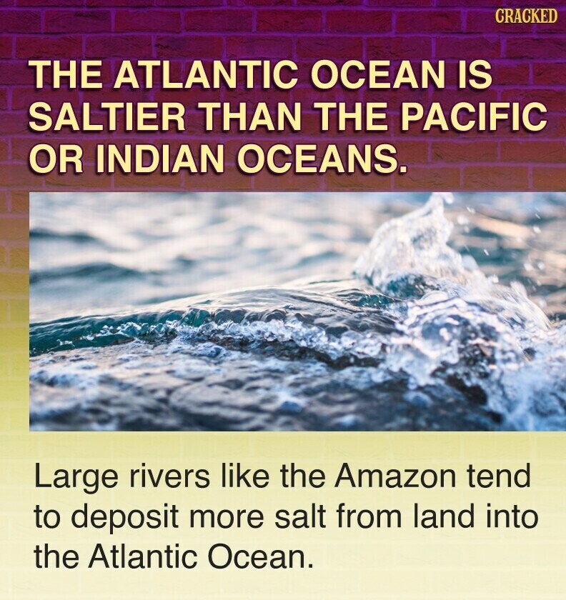 GRACKED THE ATLANTIC OCEAN IS SALTIER THAN THE PACIFIC OR INDIAN OCEANS. Large rivers like the Amazon tend to deposit more salt from land into the Atlantic Ocean.
