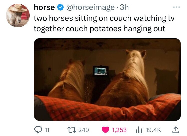 horse @horseimage 3h ... two horses sitting on couch watching tv together couch potatoes hanging out 11 249 1,253 19.4K