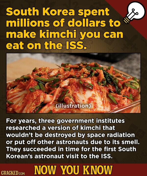 South Korea spent millions of dollars to make kimchi you can eat on the ISS. (illustration) For years, three government institutes researched a version of kimchi that wouldn't be destroyed by space radiation or put off other astronauts due to its smell. They succeeded in time for the first South Korean's astronaut visit to the ISS. NOW YOU KNOW CRACKED.COM