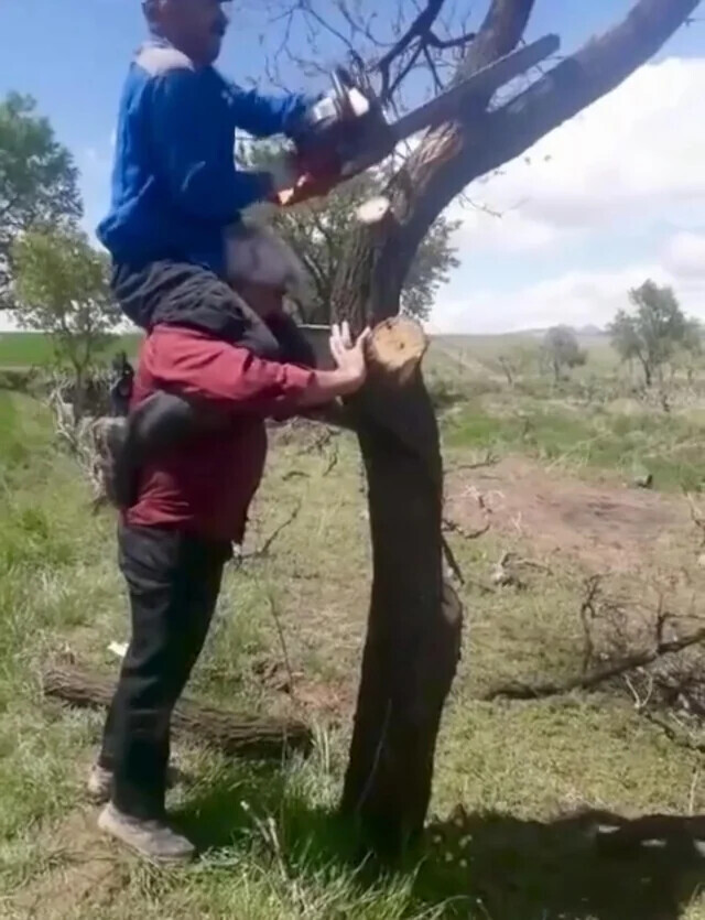 Photos from People Who Ignored All Prior Warnings