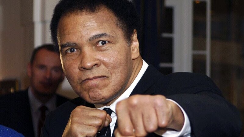 13 Succulent Bits Of Trivia Presented To Us By A Snake Who Seems To Have Our Best Interest In Mind