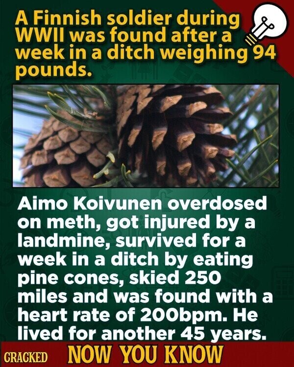 A Finnish soldier during WWII was found after a week in a ditch weighing 94 pounds. Aimo Koivunen overdosed on meth, got injured by a landmine, survived for a week in a ditch by eating pine cones, skied 250 miles and was found with a heart rate of 200bpm. Не lived for another 45 years. CRACKED NOW YOU KNOW