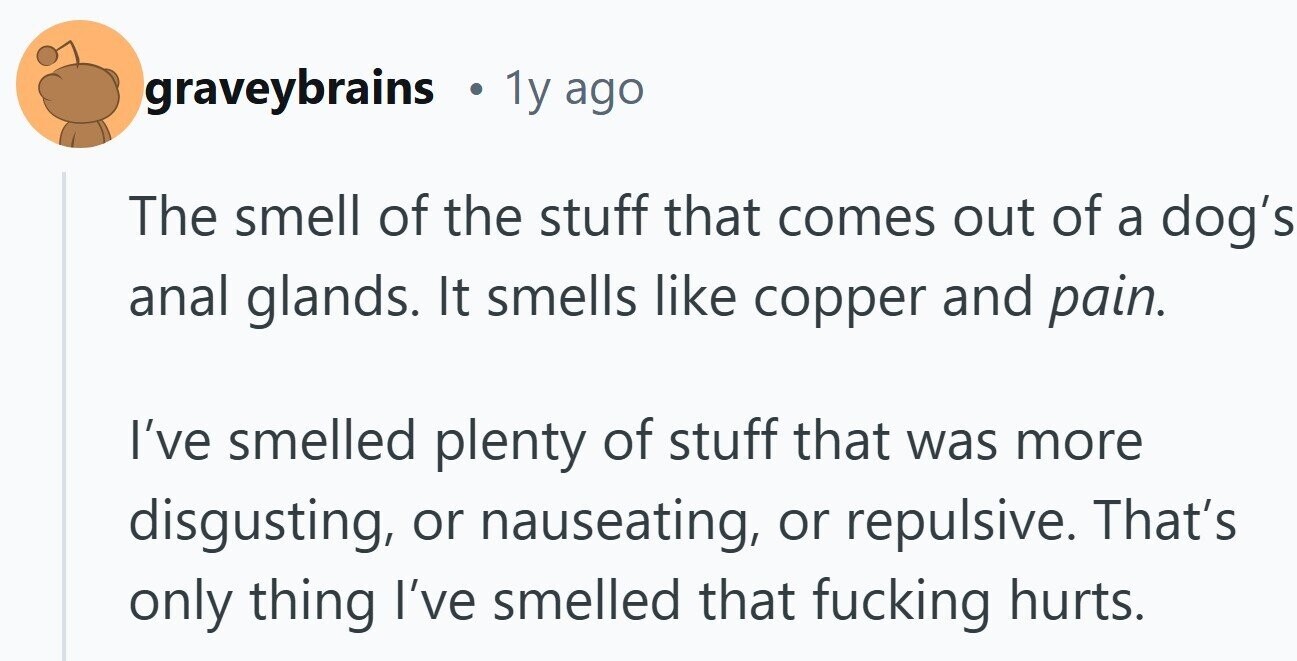 graveybrains . 1y ago The smell of the stuff that comes out of a dog's anal glands. It smells like copper and pain. I've smelled plenty of stuff that was more disgusting, or nauseating, or repulsive. That's only thing I've smelled that fucking hurts.