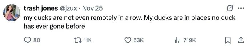 trash jones @jzux Nov 25 ... my ducks are not even remotely in a row. My ducks are in places no duck has ever gone before 80 11K 53K del 719K 