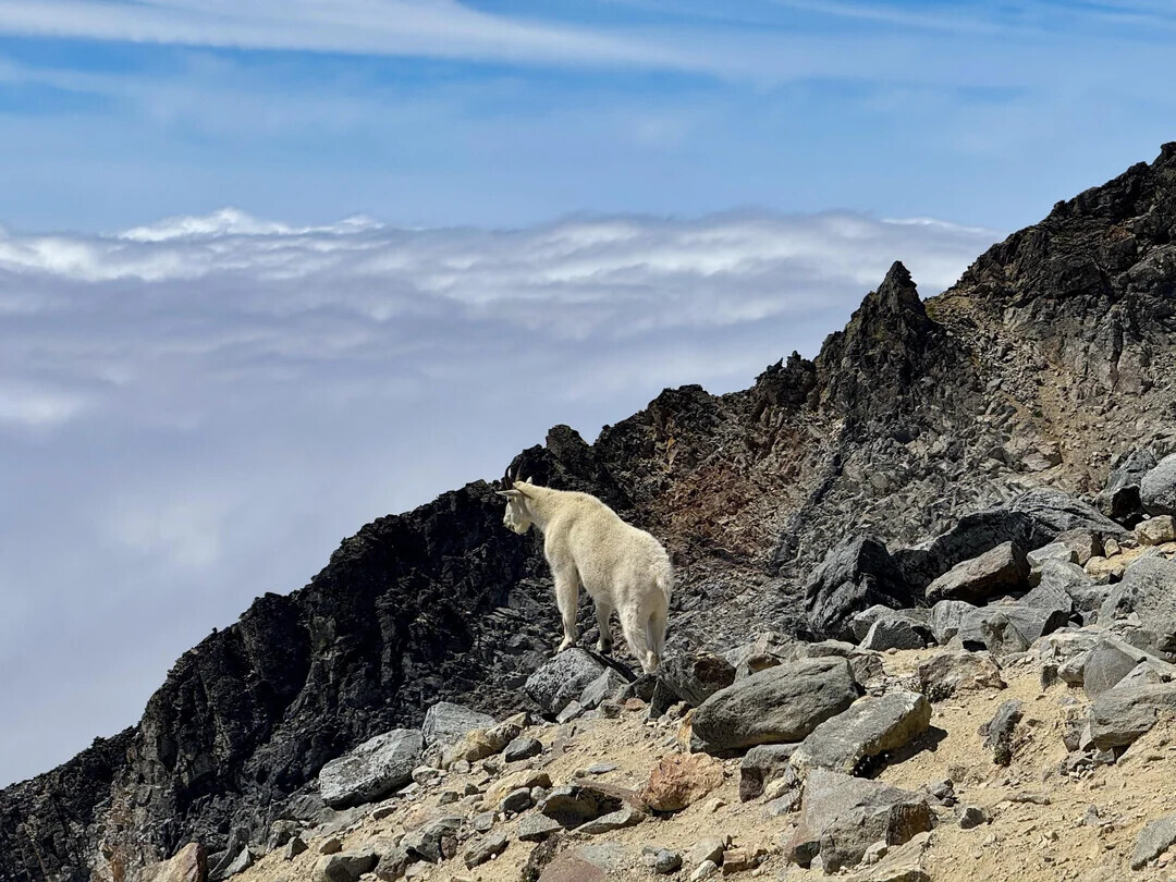 Some of the Week's Most Noteworthy Photos