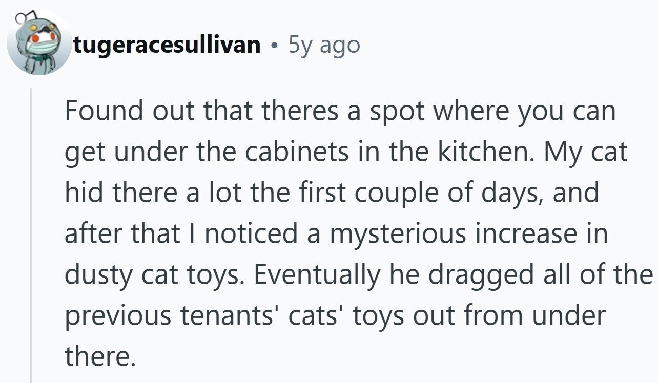 tugeracesullivan © 5y ago Found out that theres a spot where you can get under the cabinets in the kitchen. My cat hid there a lot the first couple of days, and after that I noticed a mysterious increase in dusty cat toys. Eventually he dragged all of the previous tenants' cats' toys out from under there.