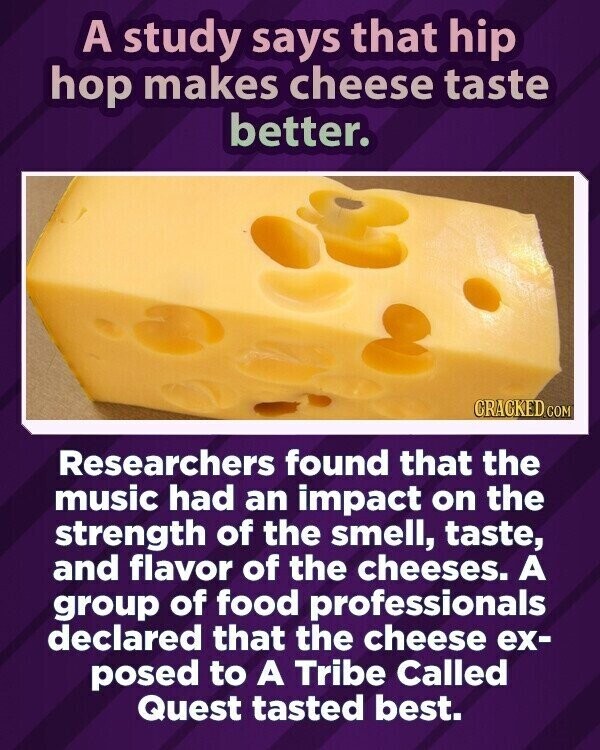 A study says that hip hop makes cheese taste better. CRACKED.COM Researchers found that the music had an impact on the strength of the smell, taste, and flavor of the cheeses. A group of food professionals declared that the cheese ex- posed to A Tribe Called Quest tasted best.