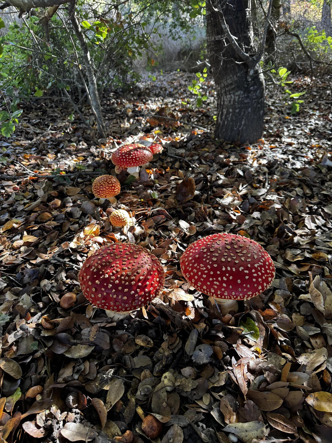 Some of the Week's Most Noteworthy Photos