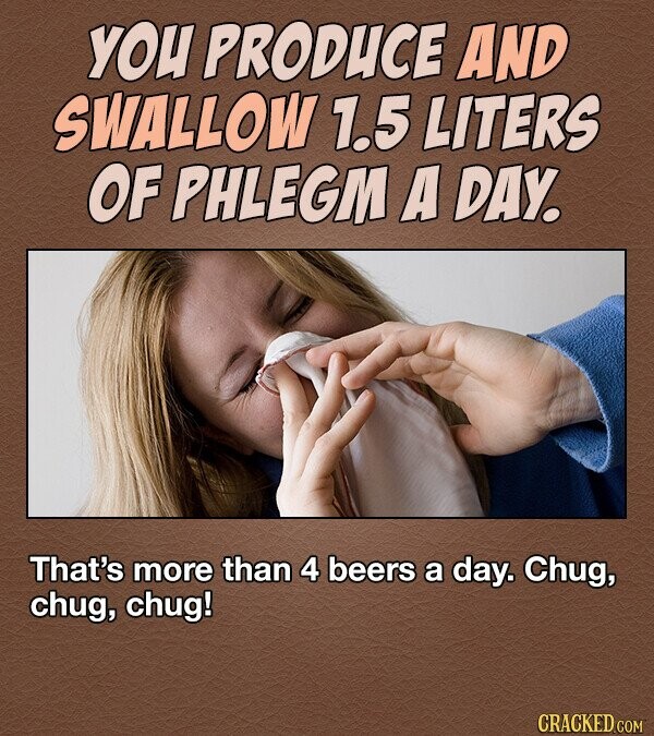 YOU PRODUCE AND SWALLOW 1.5 LITERS OF PHLEGM A DAY. That's more than 4 beers a day. Chug, chug, chug! CRACKED COM