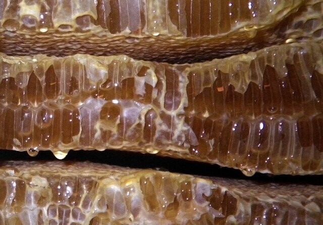 Facts And Figures To Enlighten And Entertain