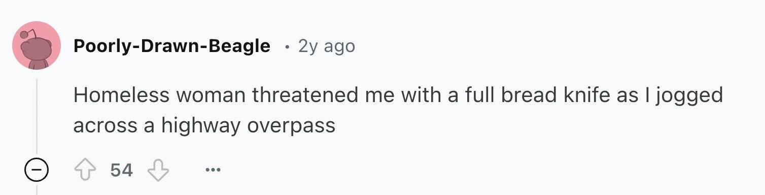 Poorly-Drawn-Beagle 2y ago Homeless woman threatened me with a full bread knife as I jogged across a highway overpass - 54 ...