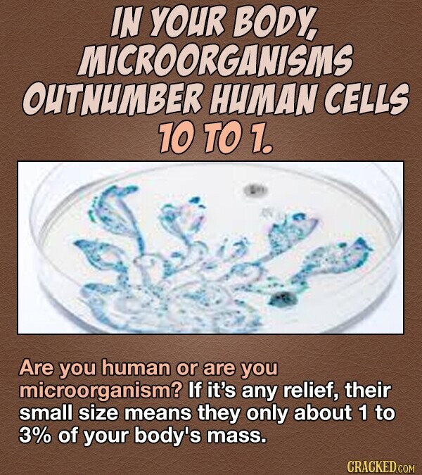 IN YOUR BODY, MICROORGANISMS OUTNUMBER HUMAN CELLS 10 TO 1. Are you human or are you microorganism? If it's any relief, their small size means they only about 1 to 3% of your body's mass. CRACKED COM