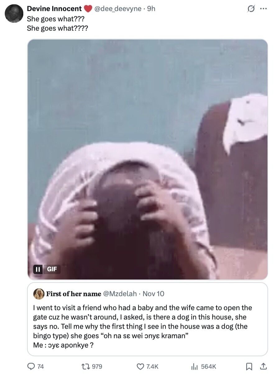 Devine Innocent @dee_deevyne.9h G ... She goes what??? She goes what???? GIF II First of her name @Mzdelah . Nov 10 went to visit a friend who had a baby and the wife came to open the gate cuz he wasn't around, I asked, is there a dog in this house, she says no. Tell me why the first thing I see in the house was a dog (the bingo type) she goes oh na SE wei dnew kraman Me:oye aponkye ? 74 979 7.4K 564K 