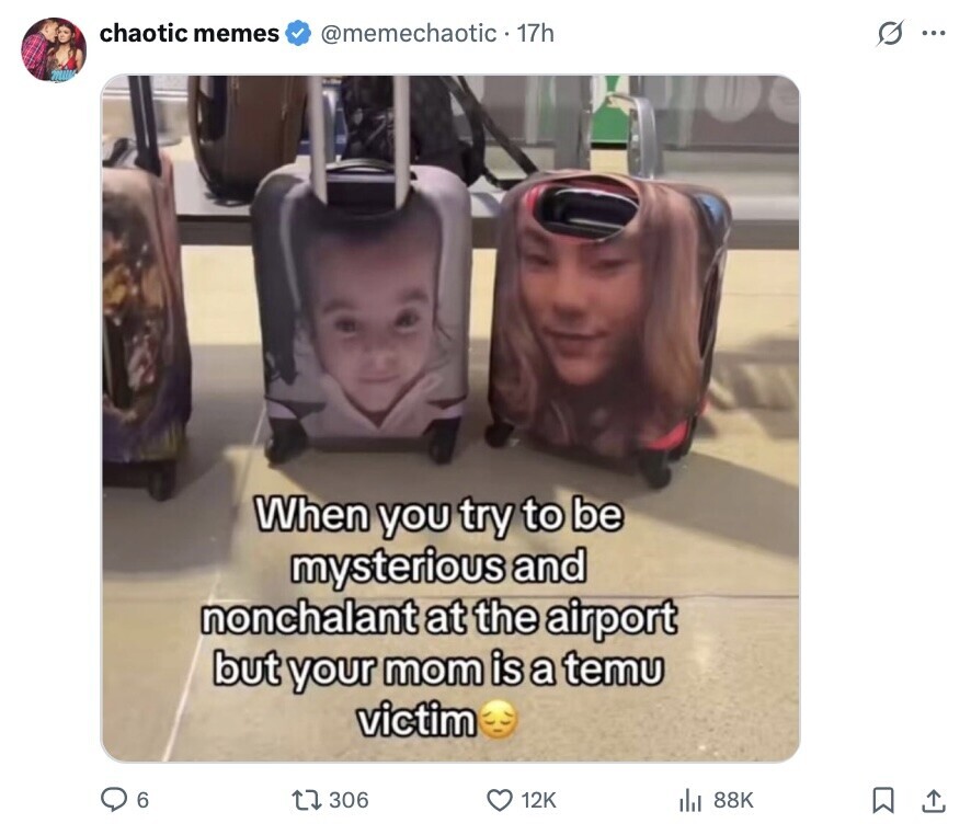 chaotic memes @memechaotic - 17h G ... When you try to be mysterious and nonchalant at the airport but your mom is a temu victim 6 306 12K 88K 