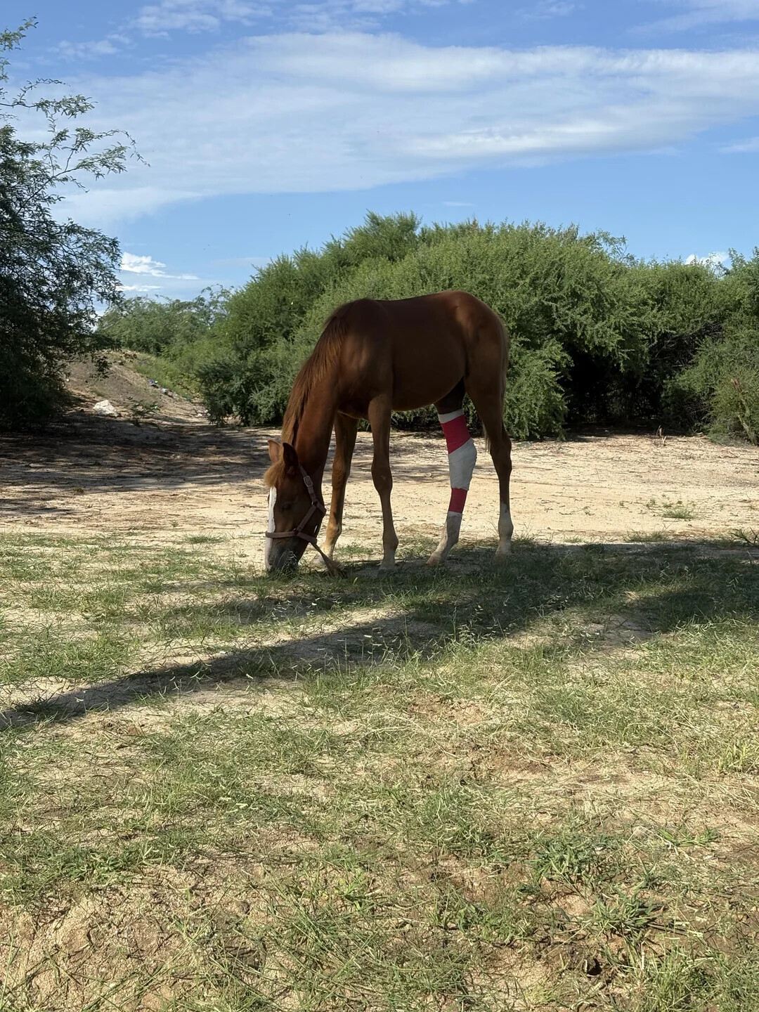 Some of the Week's Most Noteworthy Photos