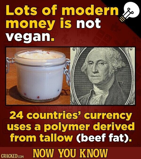 Lots of modern money is not vegan. 24 countries' currency uses a polymer derived from tallow (beef fat). NOW YOU KNOW CRACKED.COM
