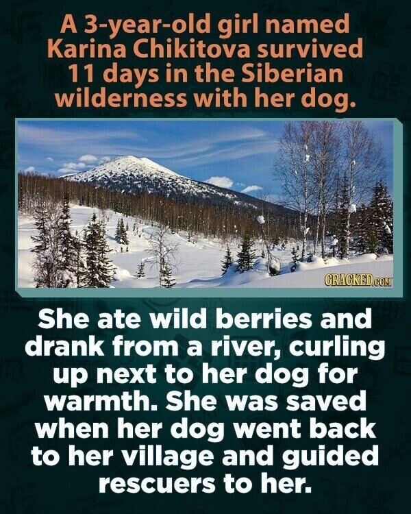 A 3-year-old girl named Karina Chikitova survived 11 days in the Siberian wilderness with her dog. CRACKED.COM She ate wild berries and drank from a river, curling up next to her dog for warmth. She was saved when her dog went back to her village and guided rescuers to her.