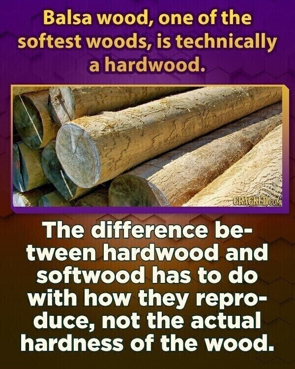 Balsa wood, one of the softest woods, is technically a hardwood. CRACKED.COM The difference be- tween hardwood and softwood has to do with how they repro- duce, not the actual hardness of the wood.