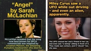 28 Random Bits of Trivia That Are As Divisive As Pizza Toppings