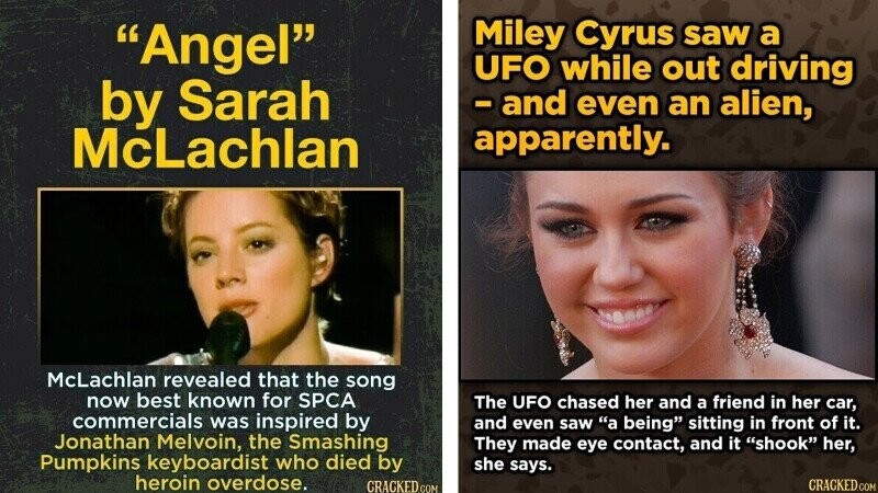 28 Random Bits of Trivia That Are As Divisive As Pizza Toppings