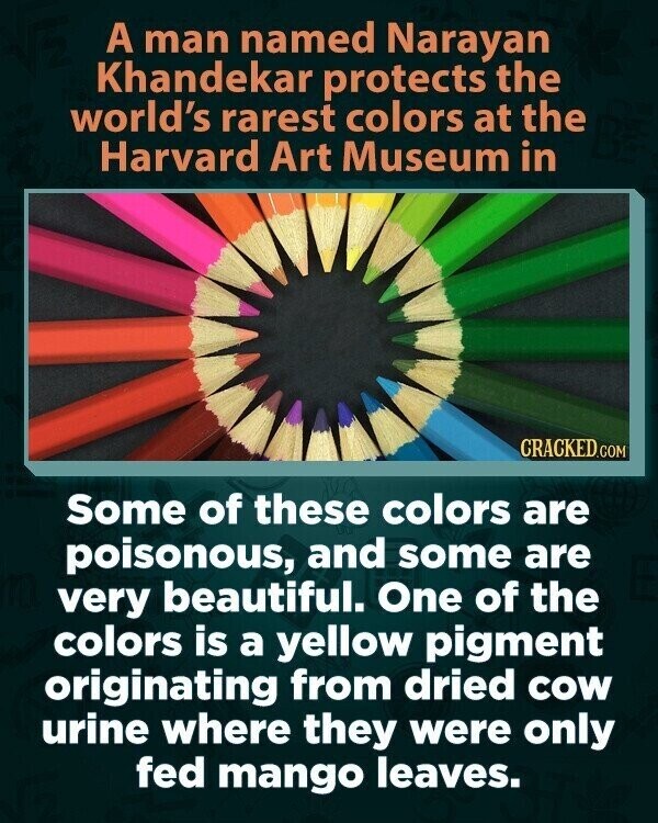 A man named Narayan Khandekar protects the world's rarest colors at the Harvard Art Museum in CRACKED.COM Some of these colors are poisonous, and some are very beautiful. One of the colors is a yellow pigment originating from dried COW urine where they were only fed mango leaves.