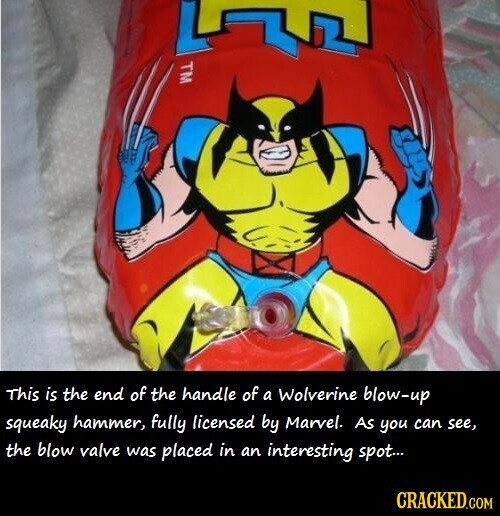 FL TM This is the end of the handle of a Wolverine blow-up squeaky hammer, fully licensed by Marvel. AS you can see, the blow valve was placed in an interesting spot... CRACKED.COM