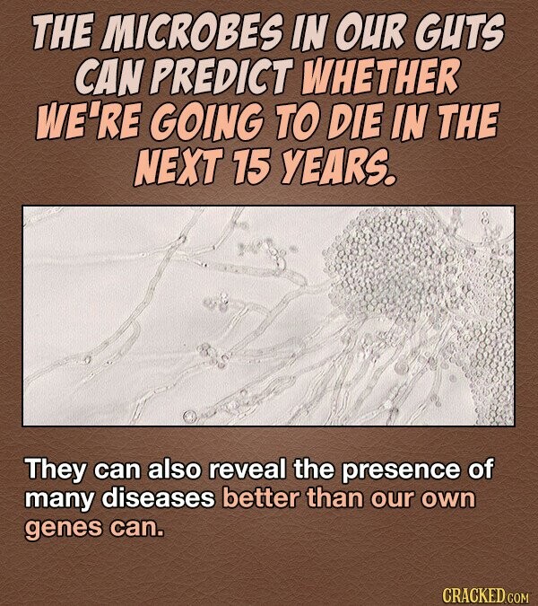 THE MICROBES IN OUR GUTS CAN PREDICT WHETHER WE'RE GOING TO DIE IN THE NEXT 15 YEARS. They can also reveal the presence of many diseases better than our own genes can. CRACKED COM