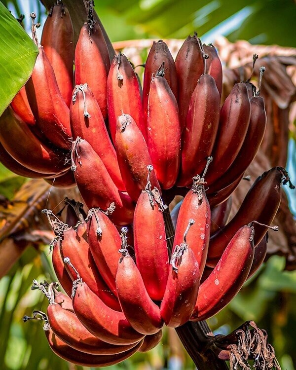 Facts And Figures To Enlighten And Entertain