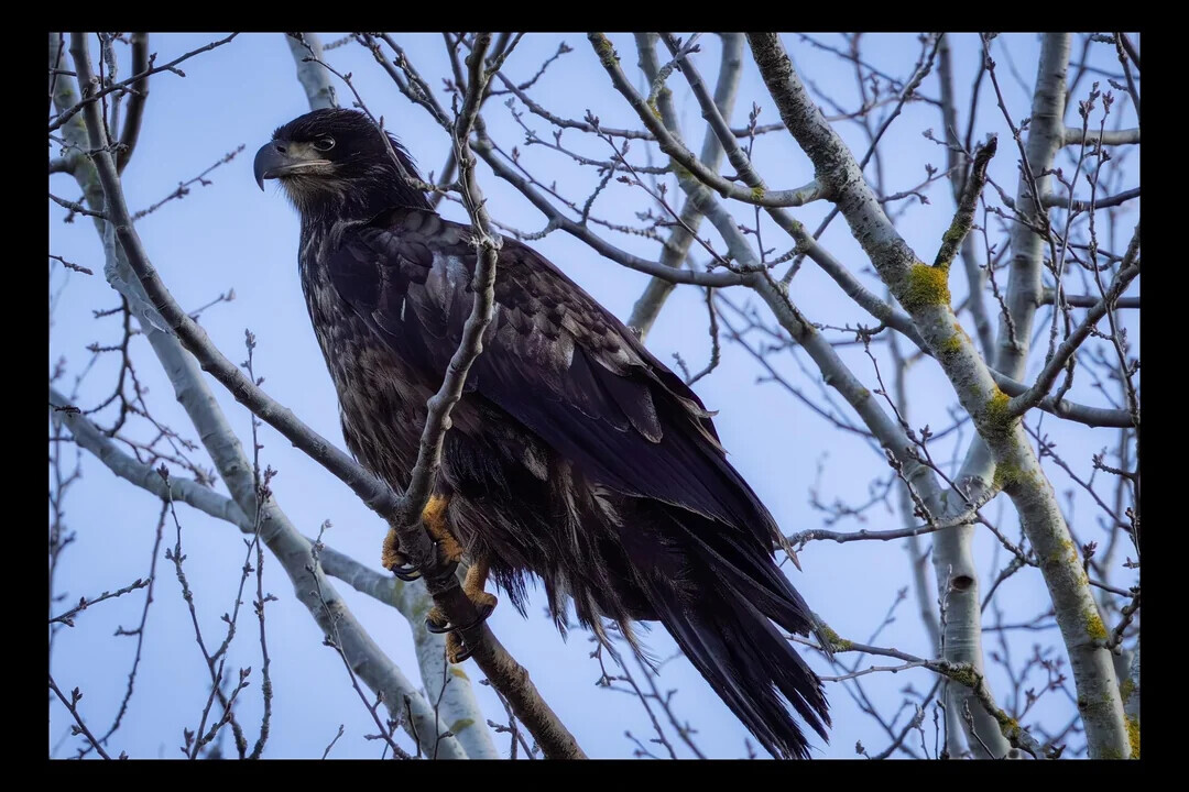 Some of the Week's Most Noteworthy Photos