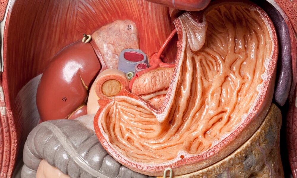 Facts And Figures To Enlighten And Entertain