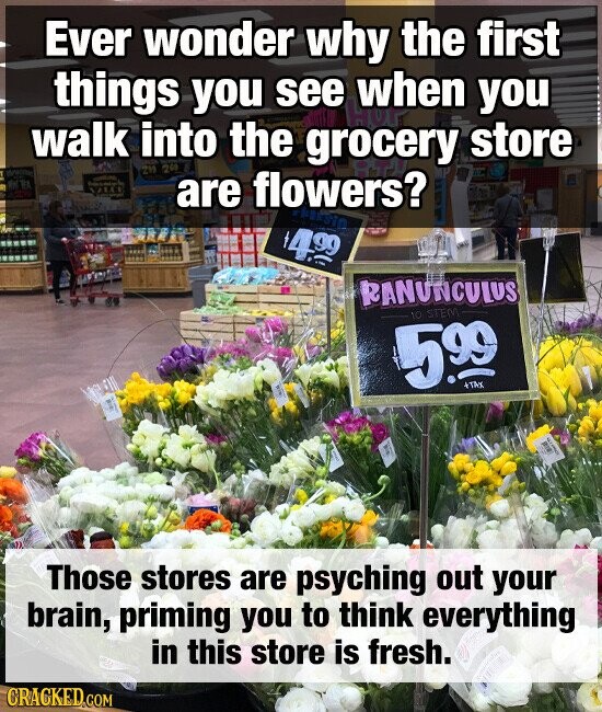 Ever wonder why the first walk things you see Hor when store you into 219 200 the grocery PETE VIII are flowers? PREFSIO 499 RANUNCULUS 10 STEM 5.99 +TAX Those stores are psyching out your brain, priming you to think everything in this store is fresh. CRACKED.COM