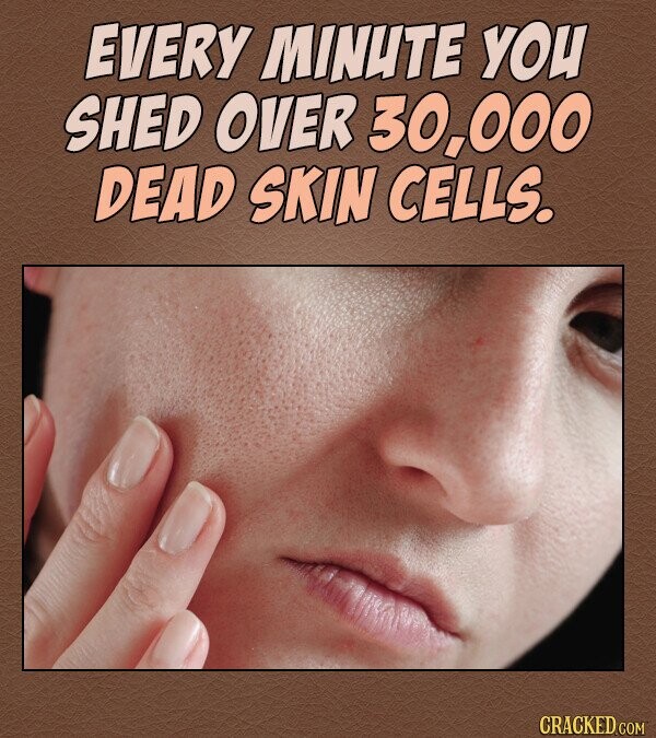 EVERY MINUTE YOU SHED OVER 30,000 DEAD SKIN CELLS. CRACKED COM