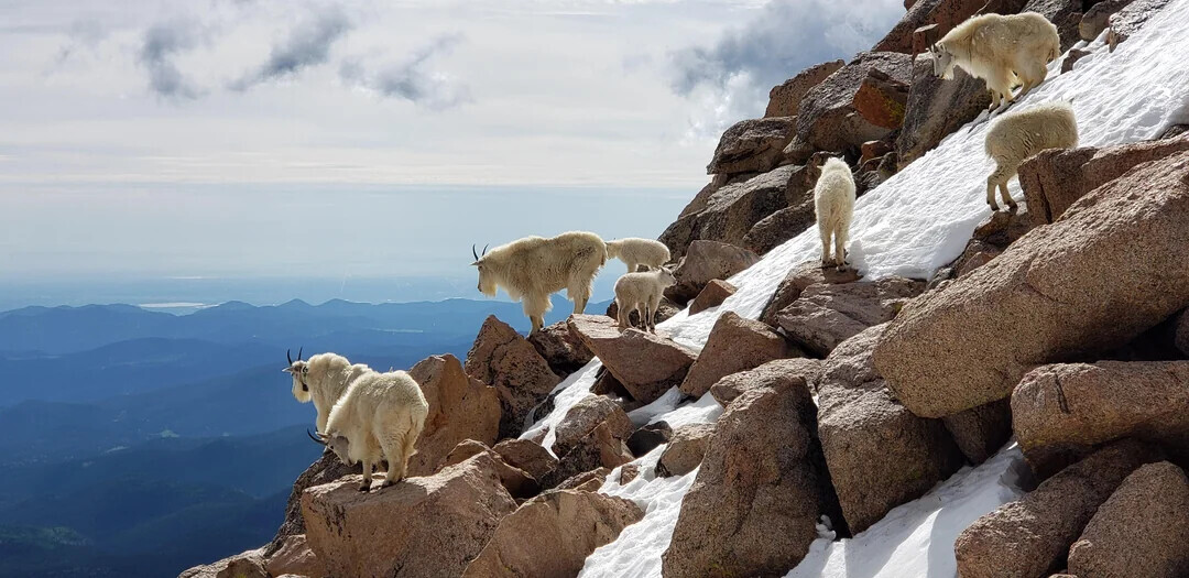 Some of the Week's Most Noteworthy Photos