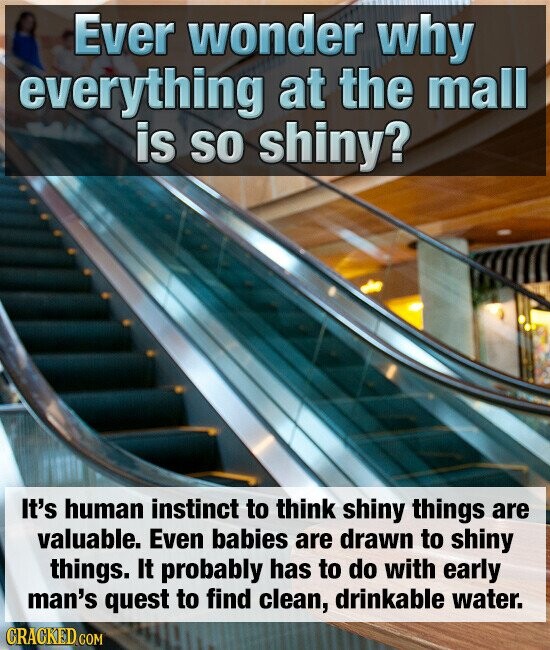 Ever wonder why everything at the mall is so shiny? It's human instinct to think shiny things are valuable. Even babies are drawn to shiny things. It probably has to do with early man's quest to find clean, drinkable water. CRACKED.COM