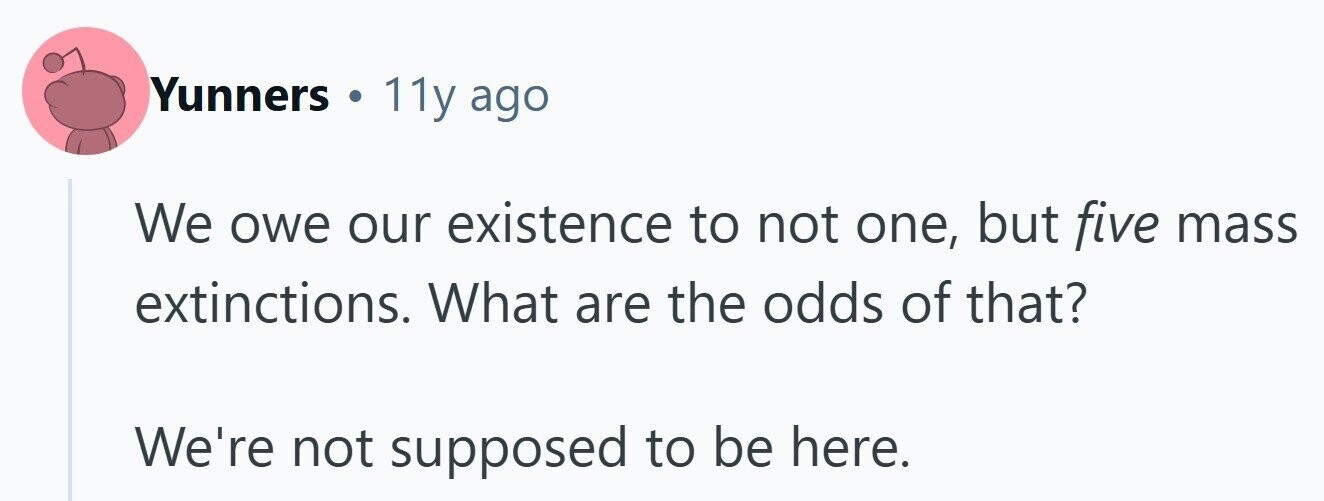 Yunners . 11y ago We owe our existence to not one, but five mass extinctions. What are the odds of that? We're not supposed to be here.