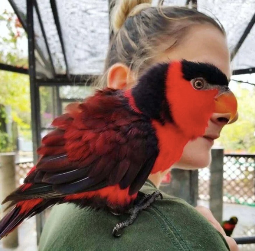 Gripping Photos of All Kinds Around the World