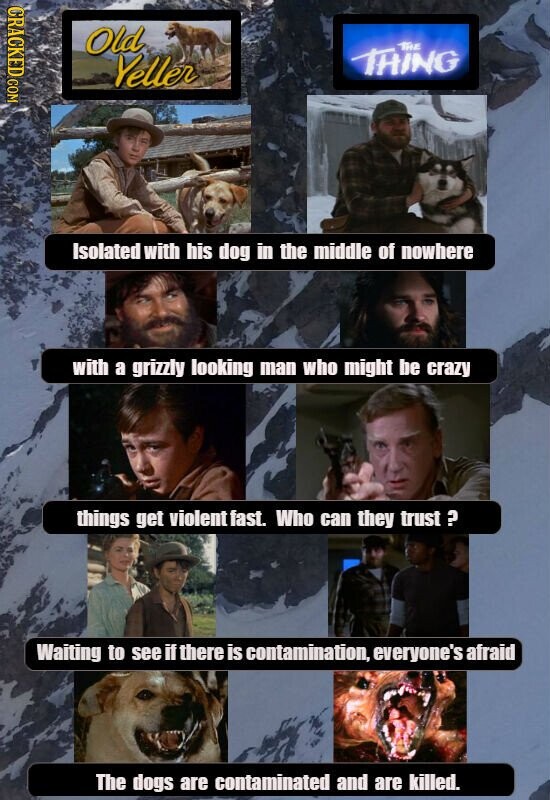 CRACKED COM Old THE THING Yeller Isolated with his dog in the middle of nowhere with a grizzly looking man who might be crazy things get violent fast. Who can they trust ? Waiting to see if there is contamination, everyone's afraid The dogs are contaminated and are killed.