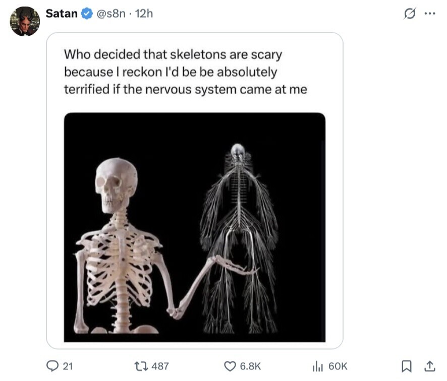 Satan @s8n.12h s ... Who decided that skeletons are scary because I reckon I'd be be absolutely terrified if the nervous system came at me 21 487 6.8K 60K 