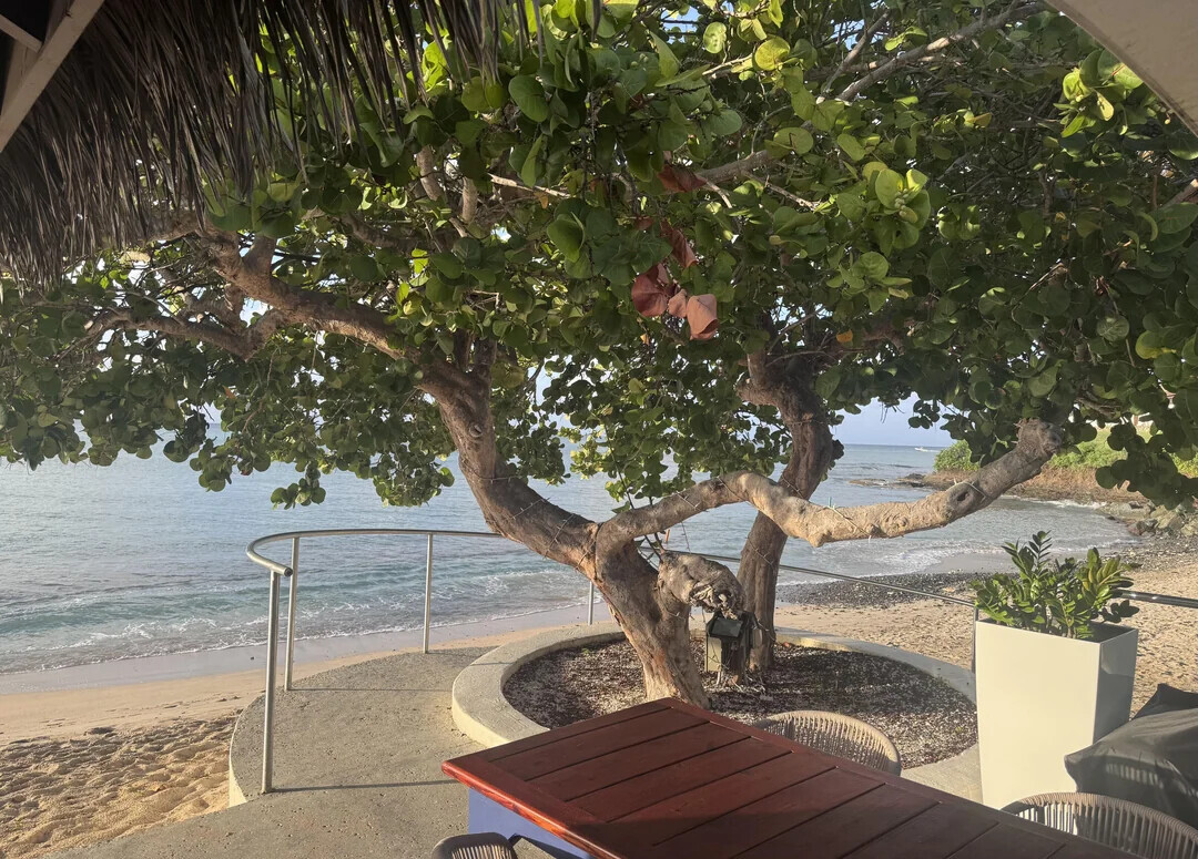 Some of the Week's Most Noteworthy Photos