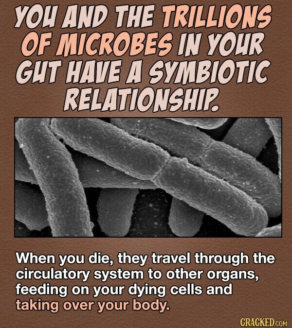 YOU AND THE TRILLIONS OF MICROBES IN YOUR GUT HAVE A SYMBIOTIC RELATIONSHIP. When you die, they travel through the circulatory system to other organs, feeding on your dying cells and taking over your body. CRACKED COM