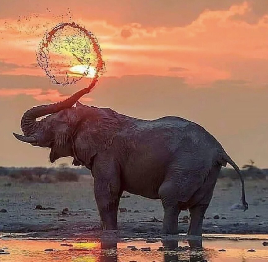 Gripping Photos of All Kinds Around the World