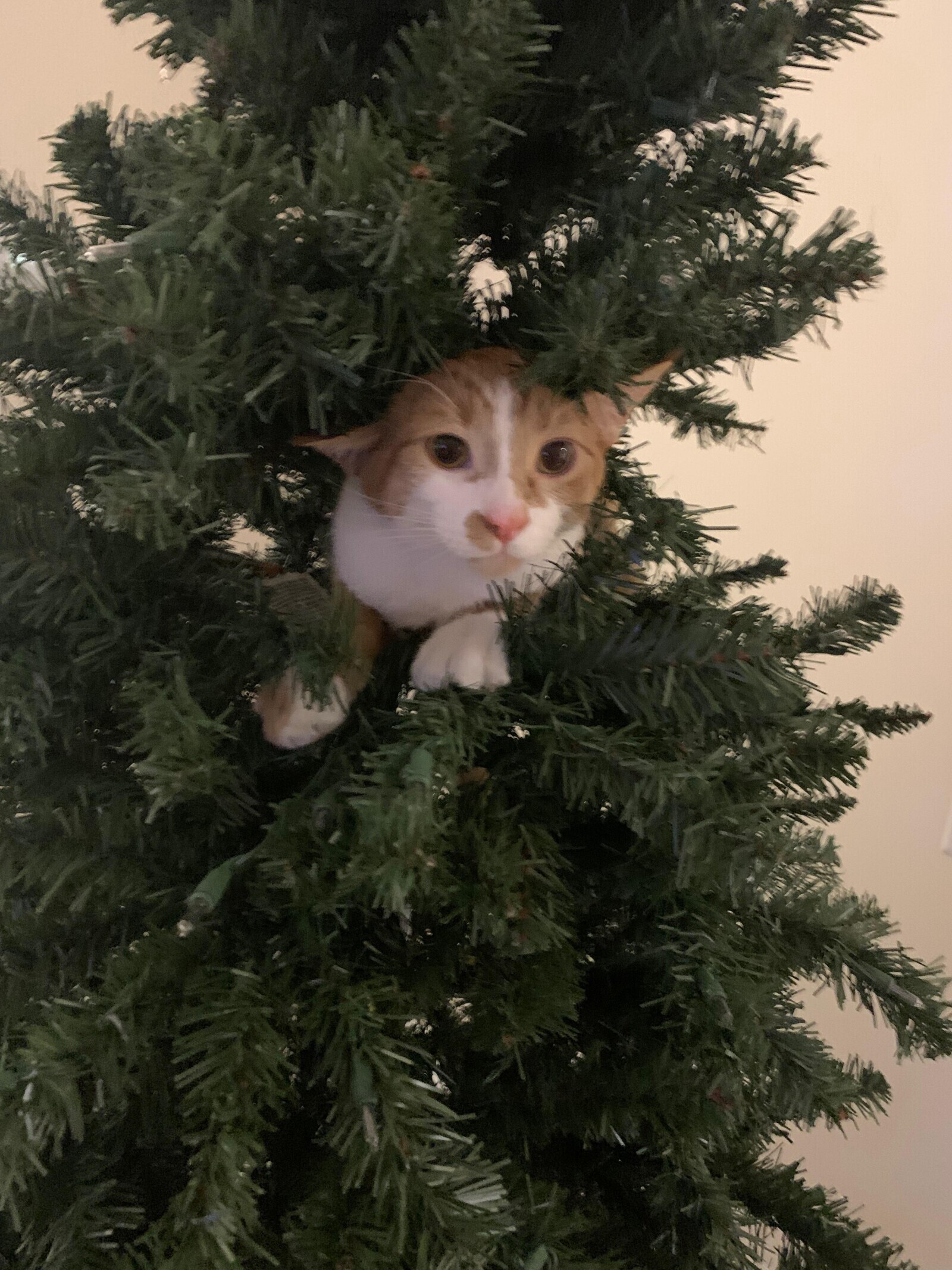 Photos Where the Only Next Possible Outcome is Bad