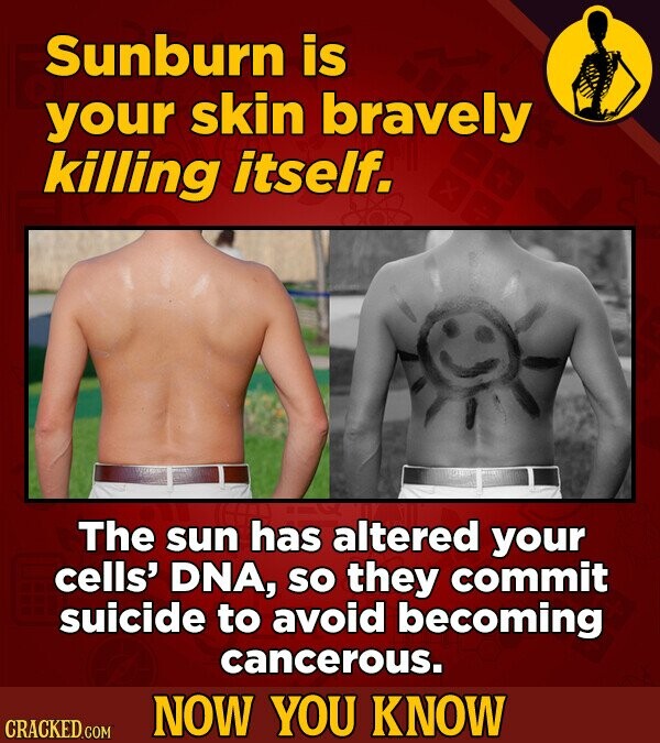 Sunburn is your skin bravely killing itself. The sun has altered your cells' DNA, so they commit suicide to avoid becoming cancerous. NOW YOU KNOW CRACKED.COM